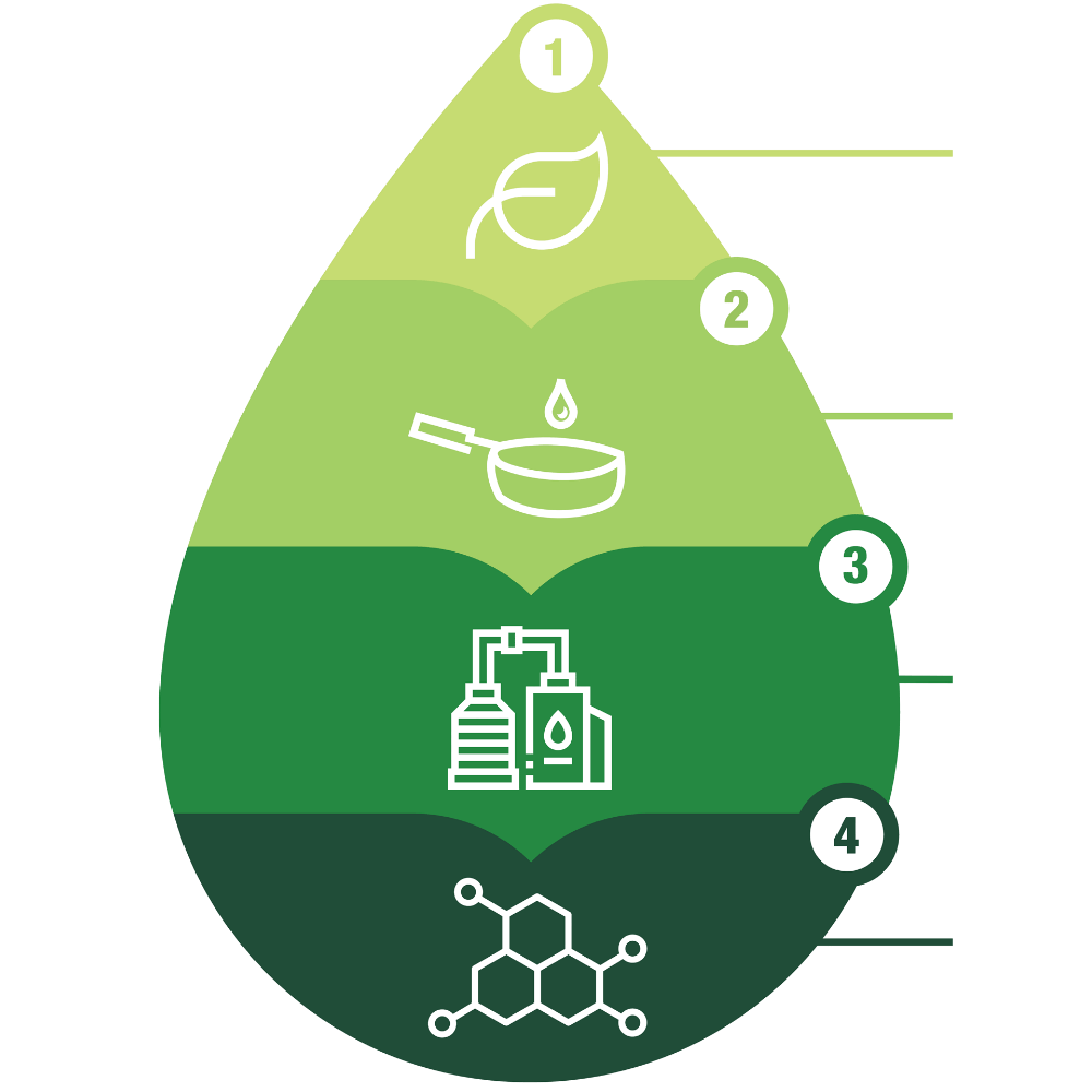 HVO100 lifecycle and benefits droplet