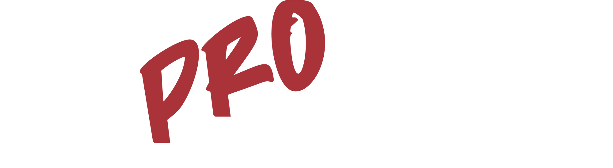 Fer_ProFleetLogo