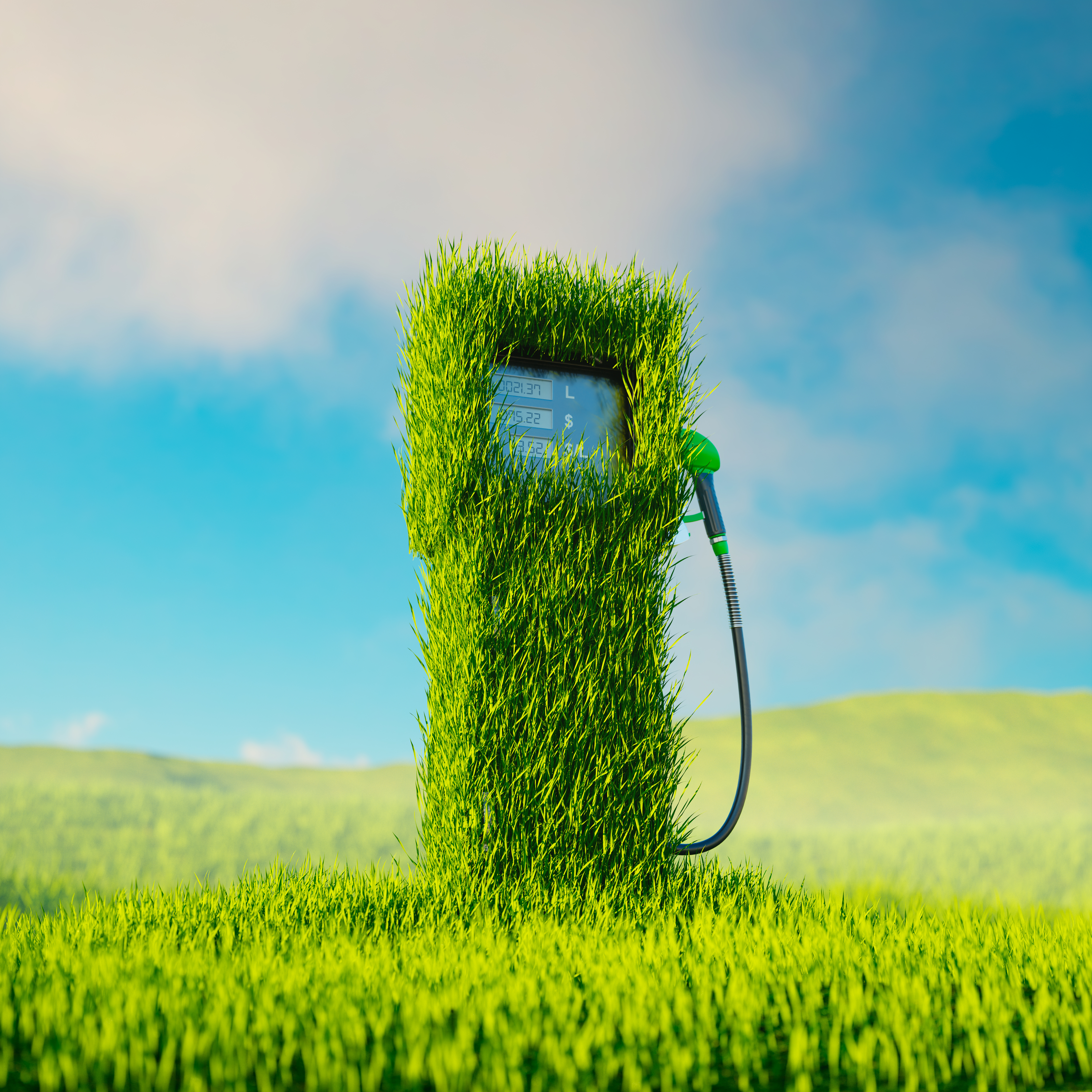 Grass covered fuel pump